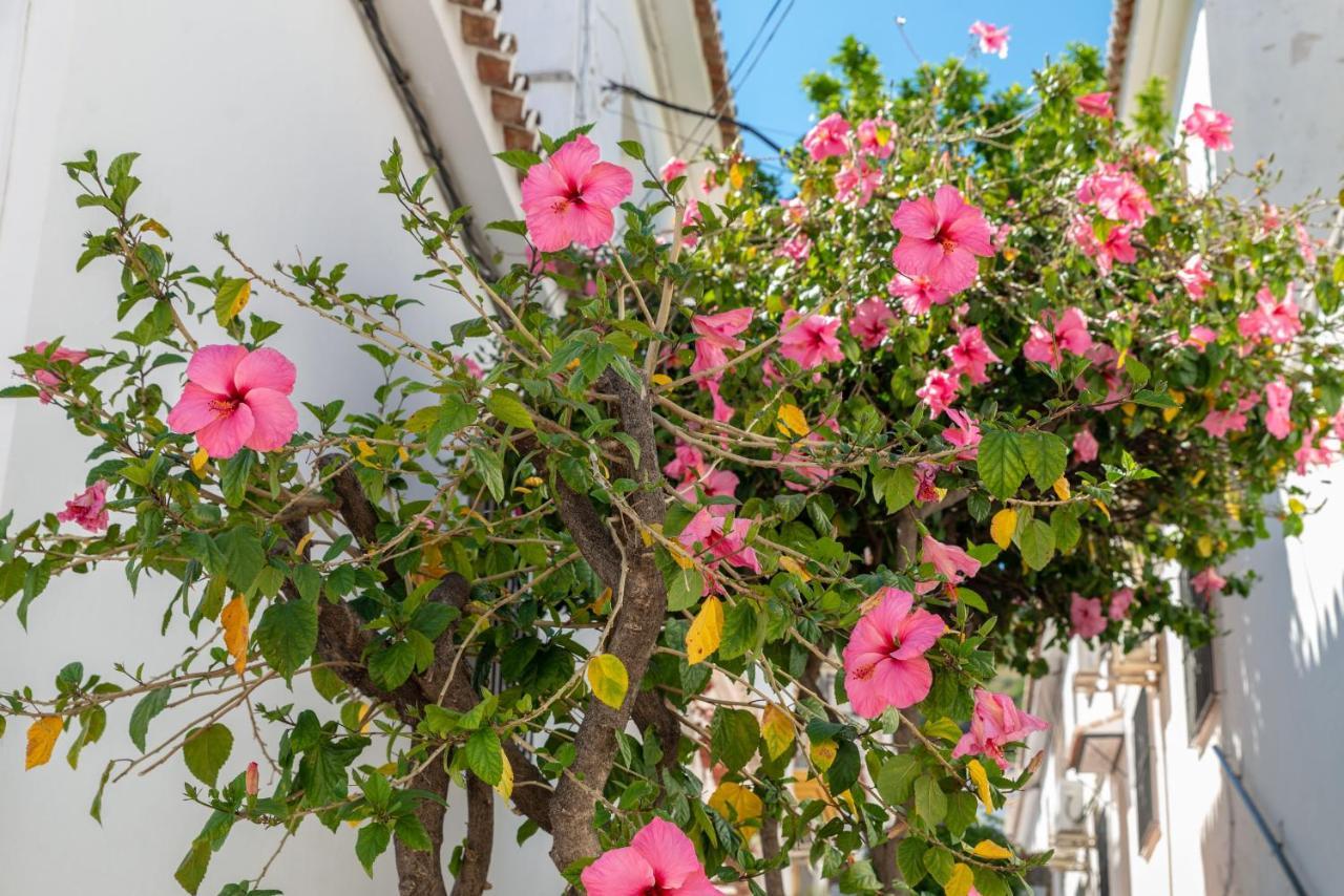 Lovely Cozy 2-Bedroom Residential Home With Patio بينالماذينا المظهر الخارجي الصورة